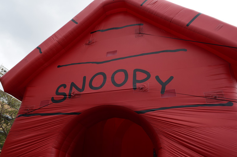 snoopy-4