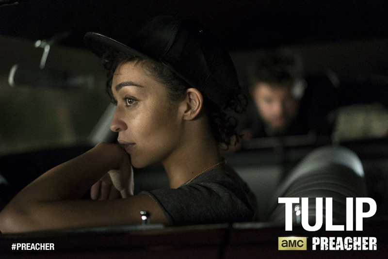 preacher-tulip